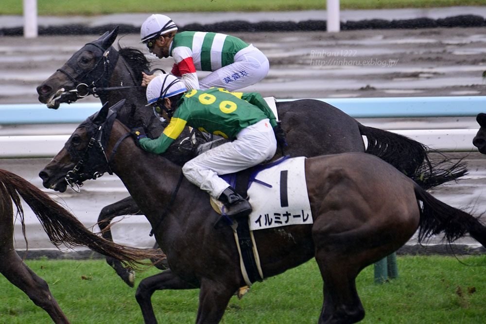 2016.8.20 札幌競馬場☆リュラ【Thoroughbred】_f0250322_2313169.jpg