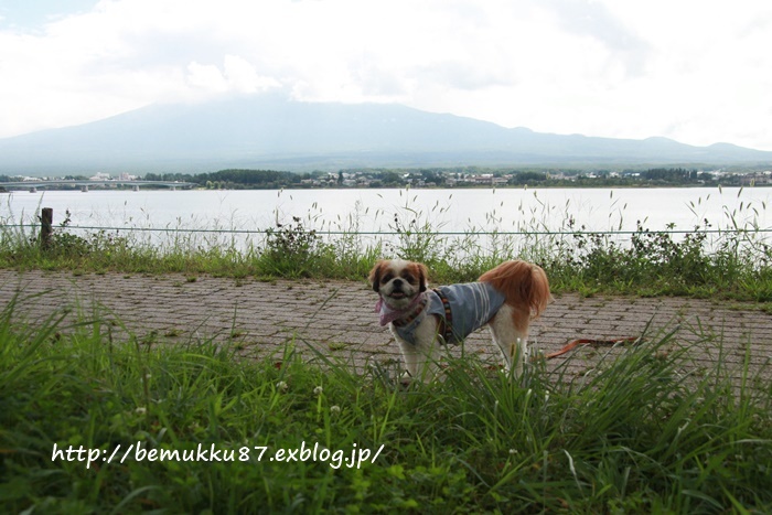 夏休み☆河口湖へドライブ_b0253033_11594656.jpg