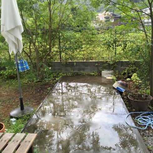 初めての雨_e0154149_09375581.jpeg