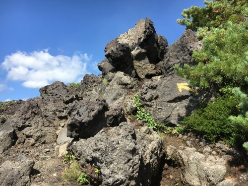 望岳台から雲の平へ_e0326953_12470797.jpg