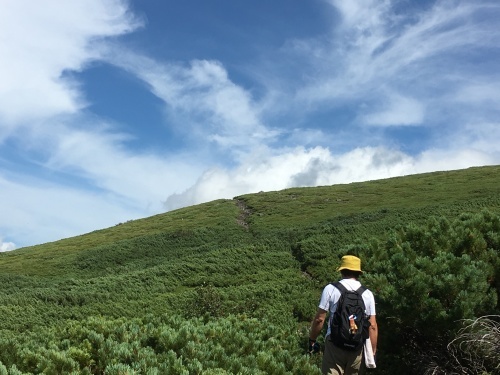 望岳台から雲の平へ_e0326953_12582864.jpg