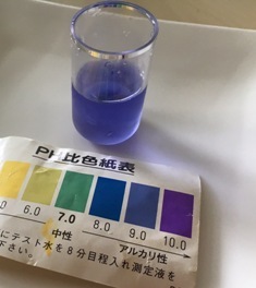 NY郊外の自然とクリハウスでリトリート(2016夏休み-1 )_b0173754_02131342.jpg