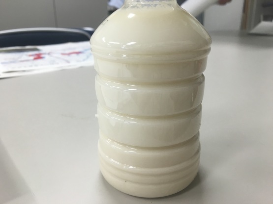 試作~卵と牛乳を使わないスイーツ~_a0356060_15214140.jpg