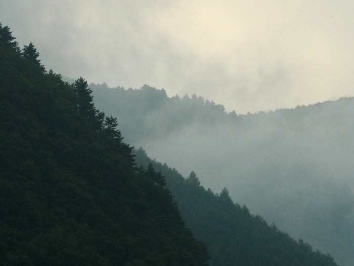f0208666_21221317.jpg