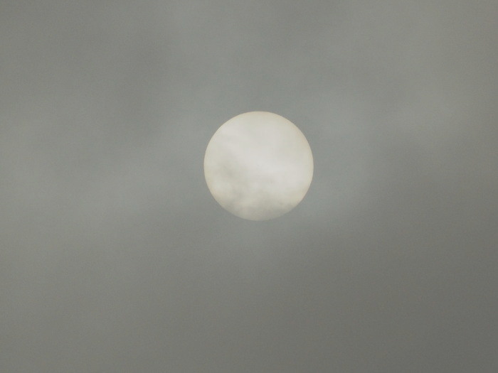 f0208666_21234322.jpg