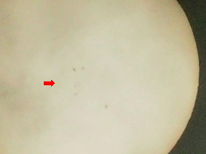 f0208666_21261584.jpg