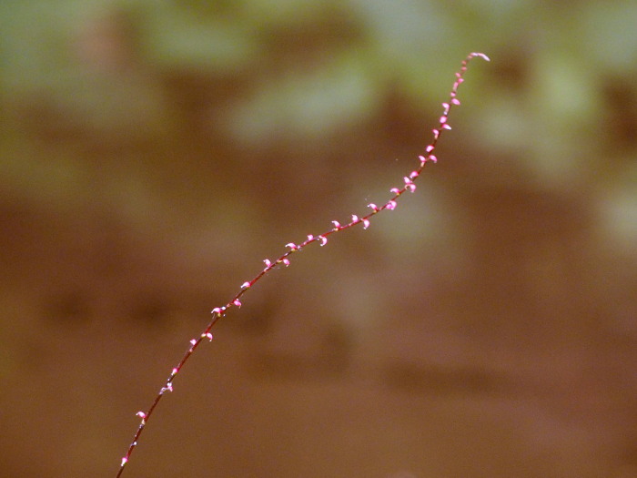 f0208666_2130769.jpg