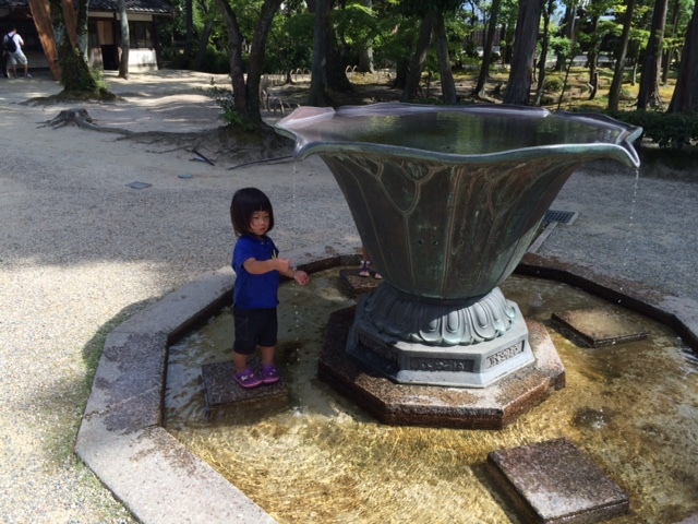 奈良2016、その2・唐招提寺_c0189970_09483674.jpg