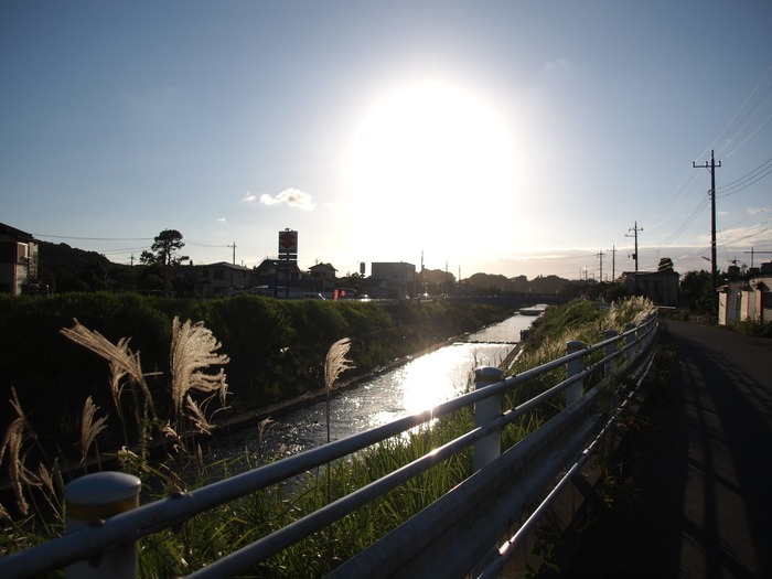 鶴見川　逆光Ⅱ_a0085679_10211128.jpg