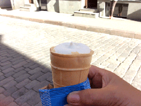 a0106589_21405987.gif