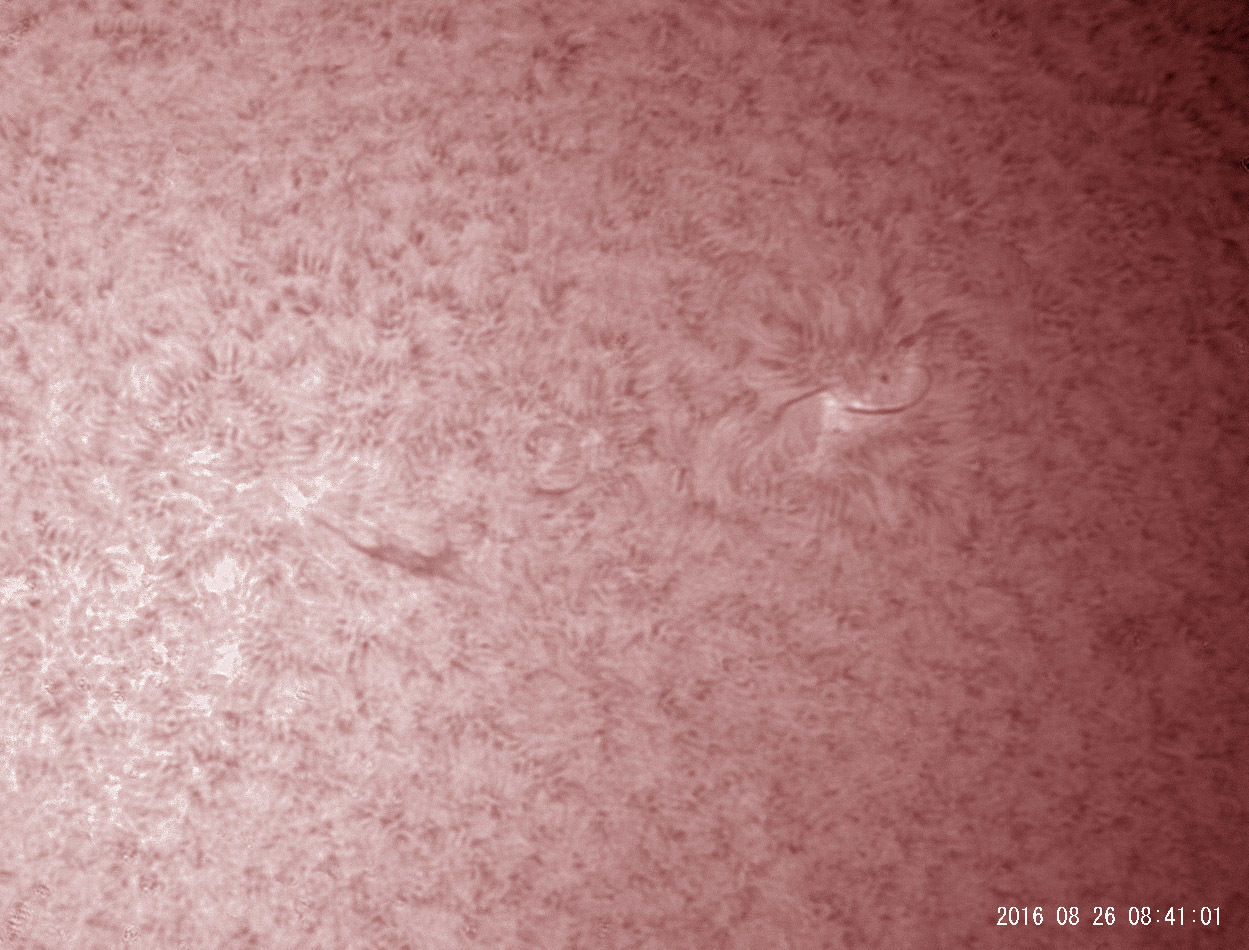 8月26日の太陽_e0174091_17242339.jpg