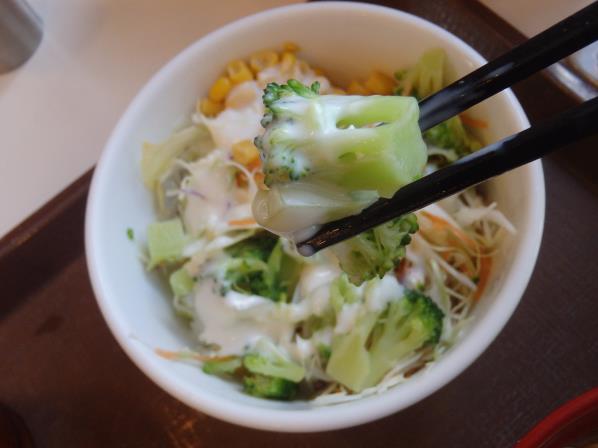 すき家のアラビアータ牛丼 尼崎東店_c0118393_8264557.jpg