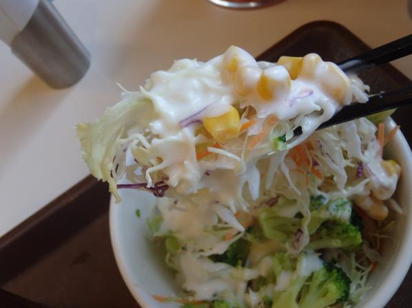すき家のアラビアータ牛丼 尼崎東店_c0118393_8281868.jpg