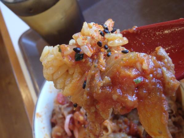 すき家のアラビアータ牛丼 尼崎東店_c0118393_834458.jpg