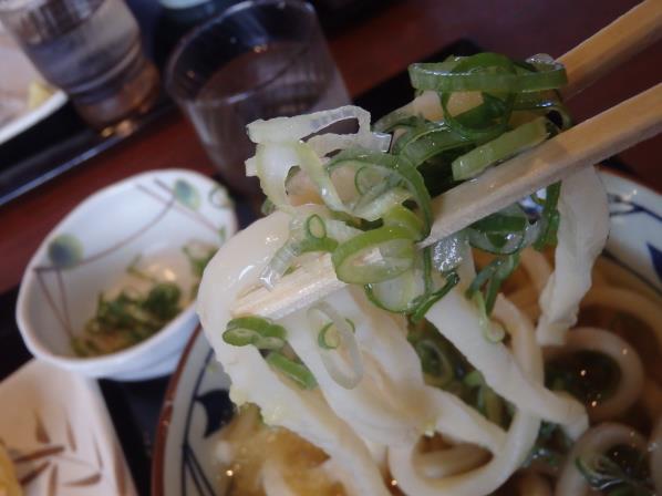 丸亀製麺 門真店_c0118393_915745.jpg