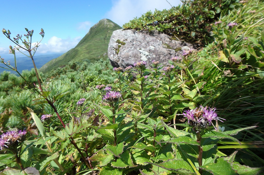  徳舜瞥山とホロホロ山、8月24日_f0138096_2225940.jpg