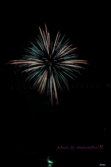d0342101_01432998.gif