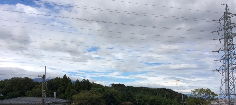 b0220002_14193675.jpeg
