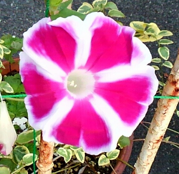 d0306603_07215238.jpg