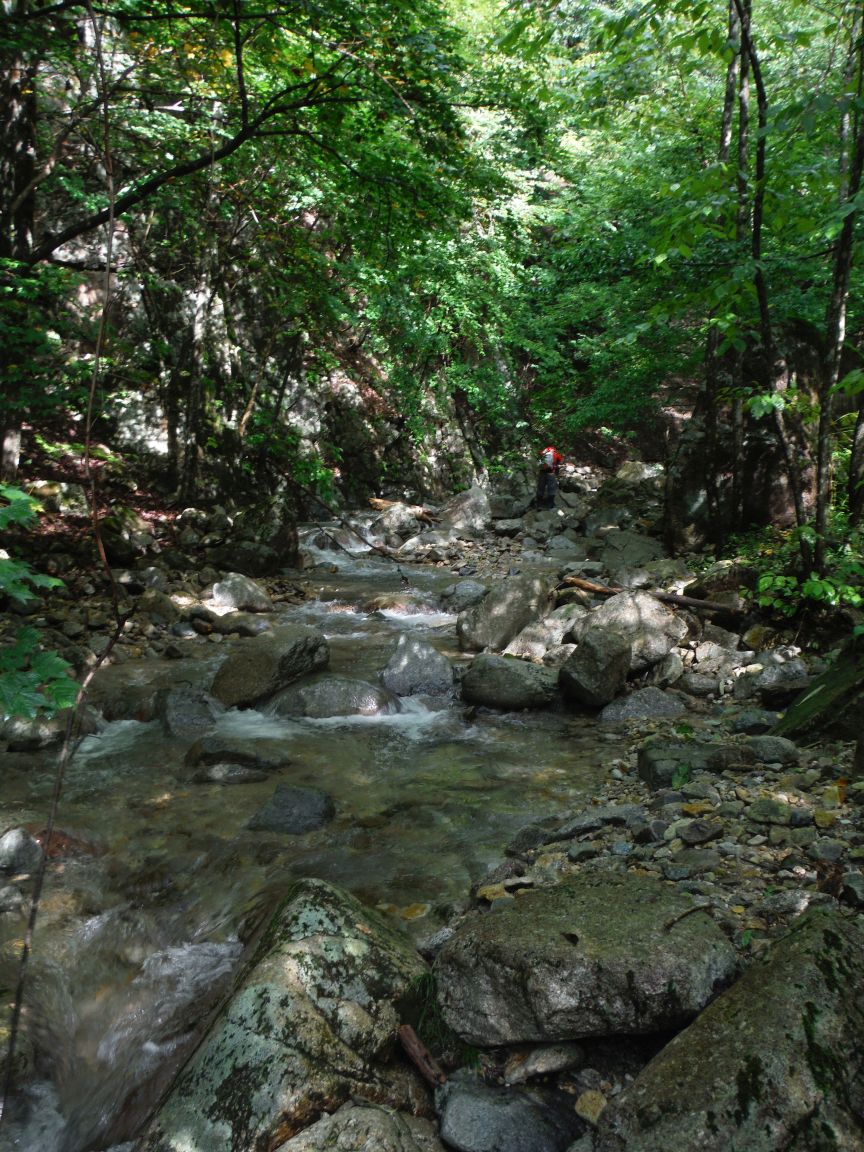b0172805_22533940.jpg