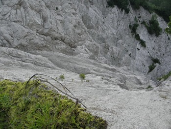 d0032405_14054679.jpg