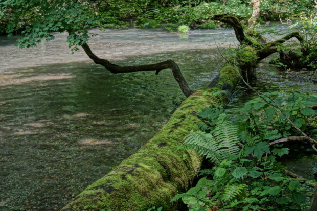 d0079912_17003054.jpg