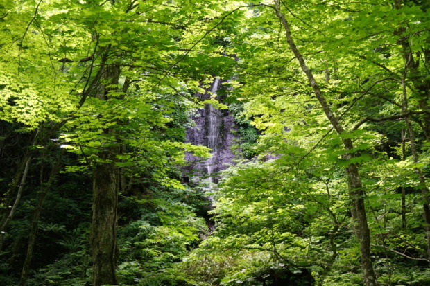 d0079912_17070478.jpg