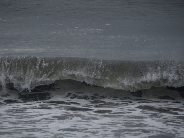 d0351213_1922969.jpg