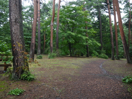e0205713_19471142.jpg