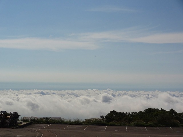 a0243317_855139.jpg