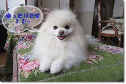 b0167519_10154430.gif