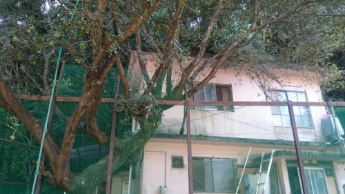 b0187620_21354529.jpg