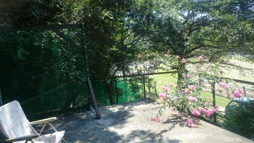 b0187620_21355584.jpg