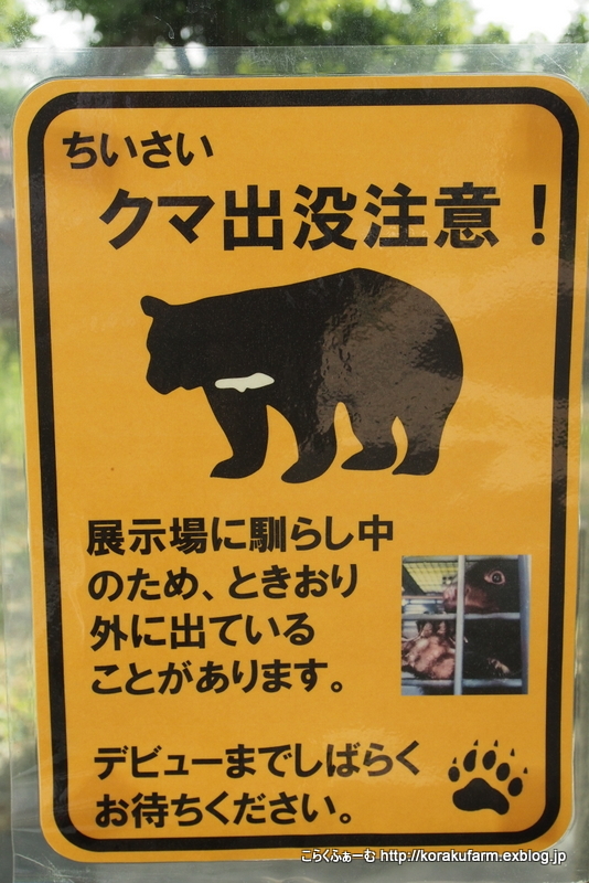 こんにちは ツキノワグマのツバサくん : こらくふぁーむ
