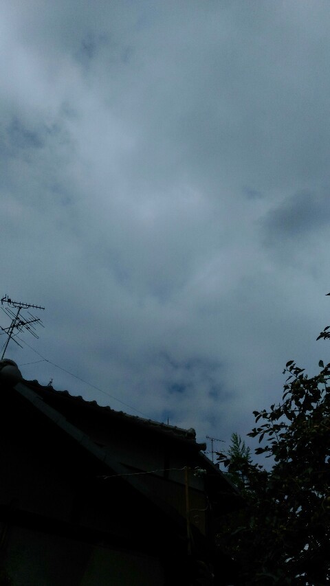 d0343540_12301272.jpg