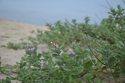 f0343750_22541943.jpg