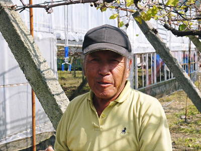 熊本ぶどう 社方園 平成28年度の『山鹿のぶどう』は8月30日最終出荷!残りわずか!お急ぎください!!_a0254656_1871883.jpg
