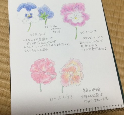 旅の5日目 熱海 ドレスデンの恩返しの続き 宮崎の花屋 アナーセン