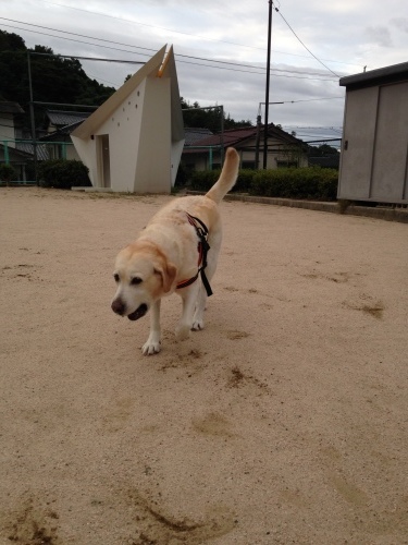 f0315081_20061210.jpeg