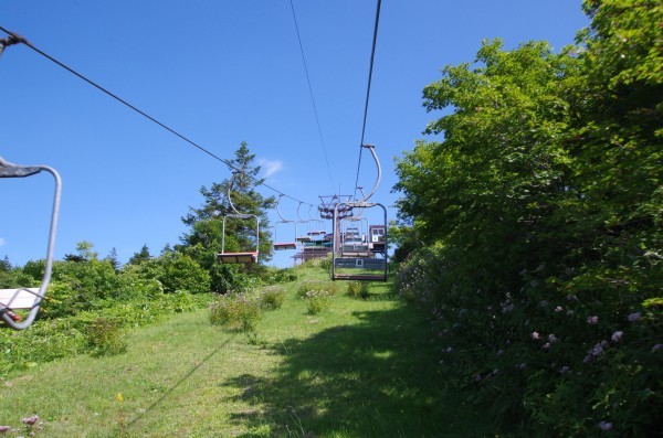 c0324382_15280366.jpg