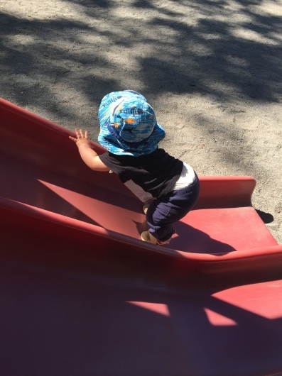 f0129786_13402806.jpeg