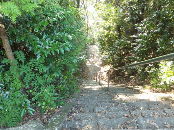 歩こう　池を見に行こう　（48）住吉池　　小山田町_b0212898_10404669.jpg