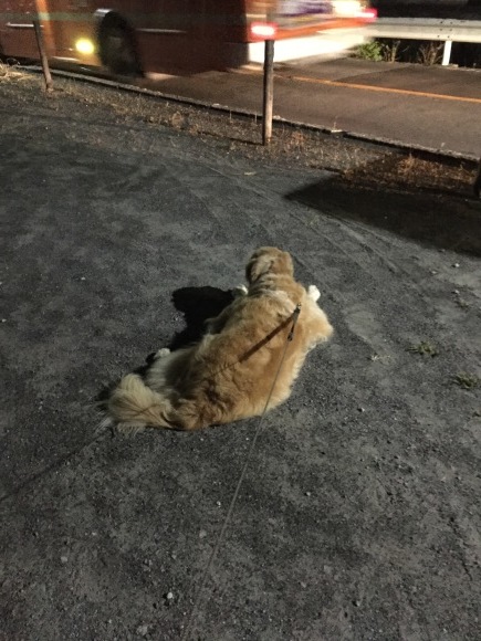 b0275998_14492716.jpeg
