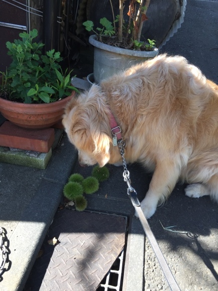 b0275998_14534518.jpeg
