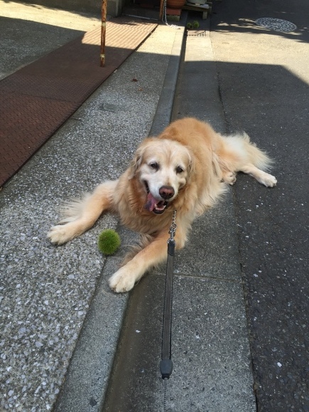 b0275998_14594258.jpeg