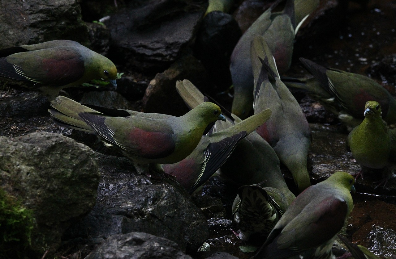 群馬の山奥にて_f0296999_1249121.jpg