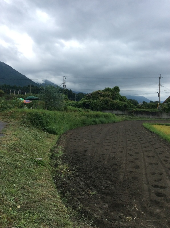 b0220002_21274418.jpeg