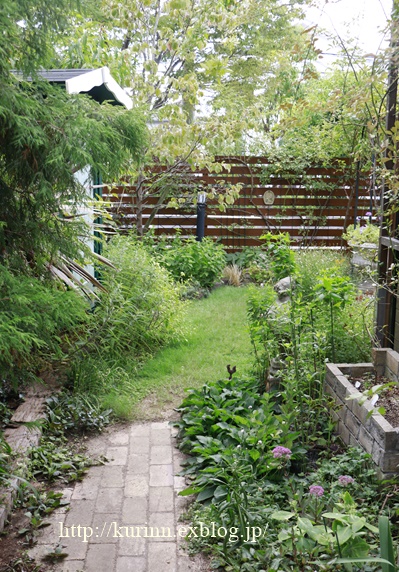 a0123003_117518.jpg