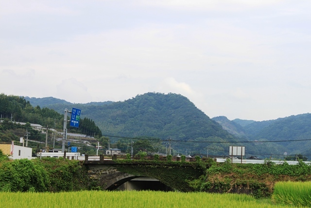 c0368903_20500864.jpg