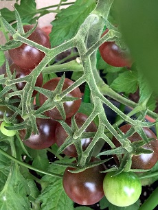 c0028304_19401330.jpg